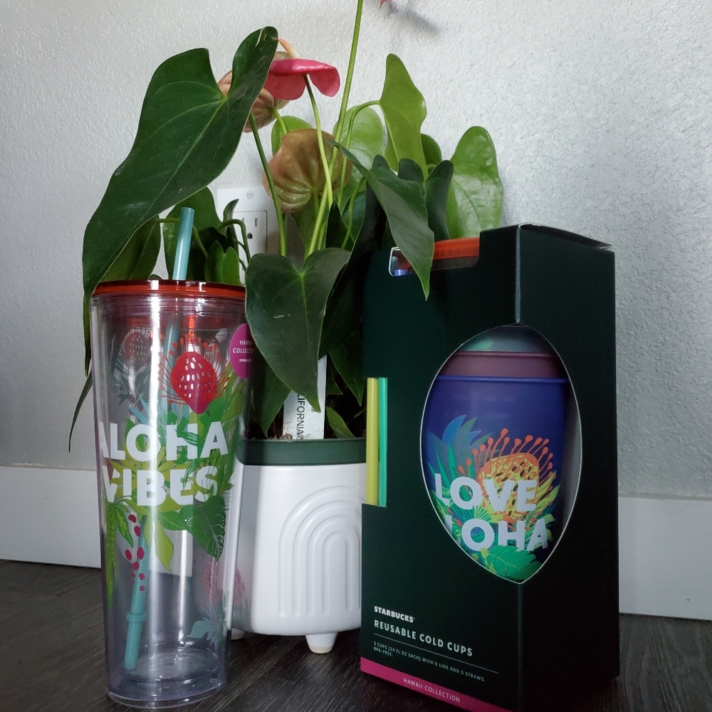 *NWT* 🌺Aloha collection Starbucks bundle of 6🌈